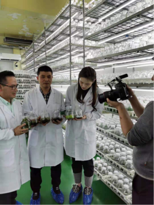 國坤堂鐵皮石斛榮獲國家農(nóng)產(chǎn)品地理標(biāo)志保護(hù)產(chǎn)品