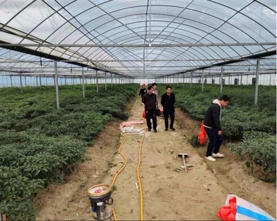 伍市鎮 多措并舉，織密織牢疫情防控期間水產養殖質量安全網