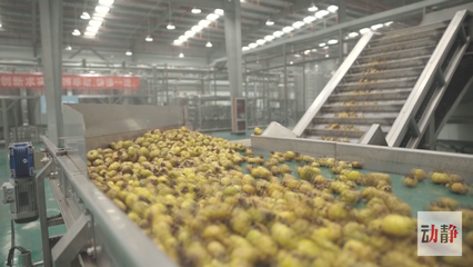 深耕農(nóng)產(chǎn)品深加工，培育高成長(zhǎng)企業(yè) 推動(dòng)生態(tài)特色食品產(chǎn)業(yè)轉(zhuǎn)型升級(jí)