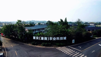 潼南農(nóng)業(yè) 特色農(nóng)產(chǎn)品種植的繁榮圖景與發(fā)展路徑